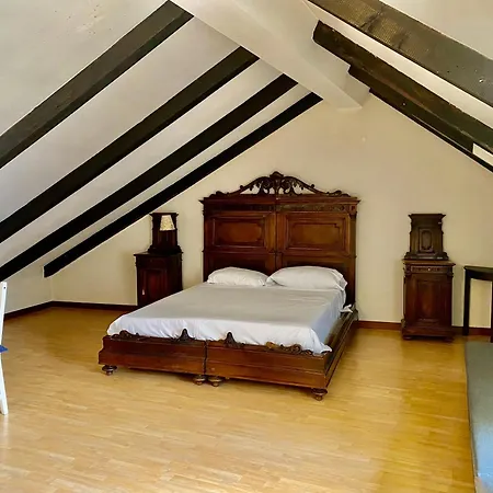 Lupetta - Piazza Sant'alessandro, 3 * Milano